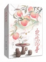 崇德纪事（清穿）