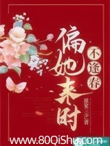偏她来时不逢春