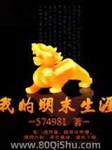 我的明末生涯