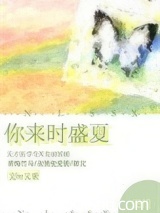 你来时盛夏