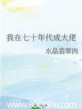 我在七十年代成大佬