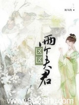 区区两个夫君