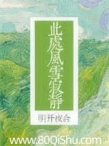 此处风雪寂静