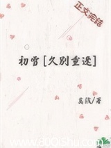初雪[久别重逢]