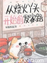 从烧火丫头开始的发家路