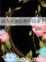 成为大佬后我穿回来了