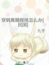 穿到离婚现场怎么办[民国]