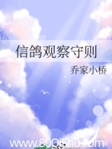 信鸽观察守则