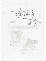 琥珀与百合