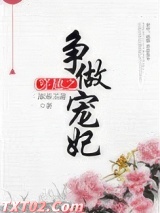 穿越之争做宠妃