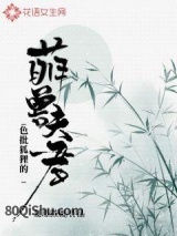 色批狐狸的萌兽夫君