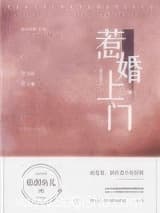 惹婚上门