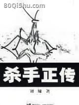 杀手正传