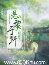悬黎于野（双重生）