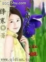 我的女友是小姐
