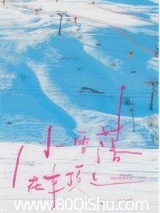 小雪落在车顶上