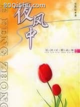 夜风中