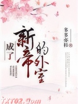 成了新帝的外室