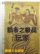 都市之极品玩家