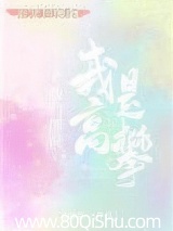 他们说我是高攀