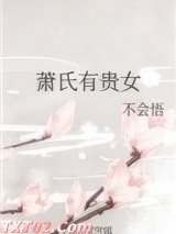 萧氏有贵女