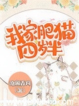 我家肥猫四岁半