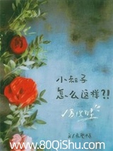 寡嫂为妻
